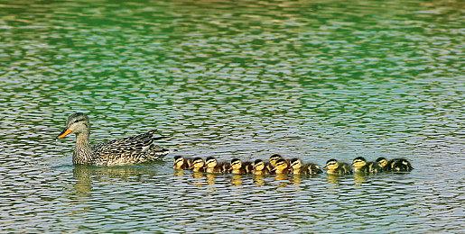 《光明记忆：无限》第三人称模式上线 兔年新服装DLC发售